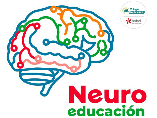 neuroeducacion-1